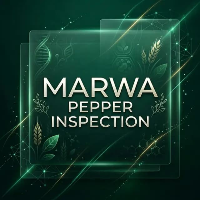 Inspection de la variété de piment fort "Marwa" à Sétif