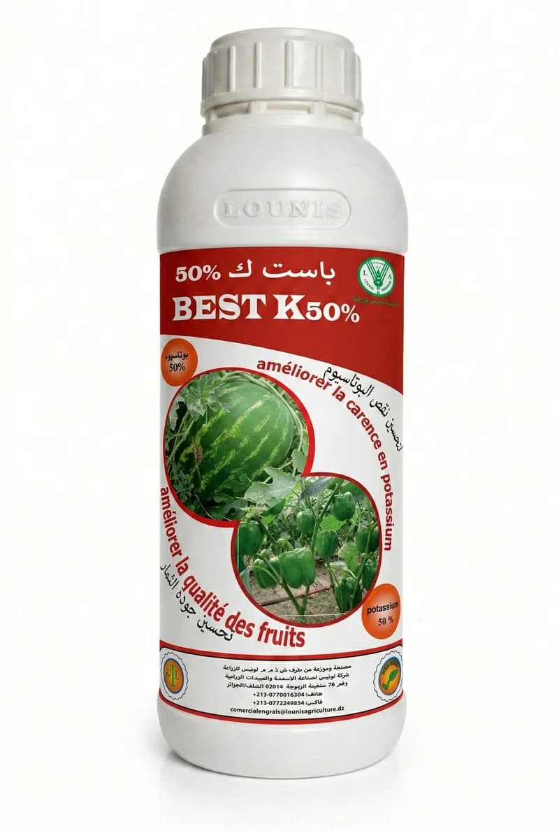 Best K 50%