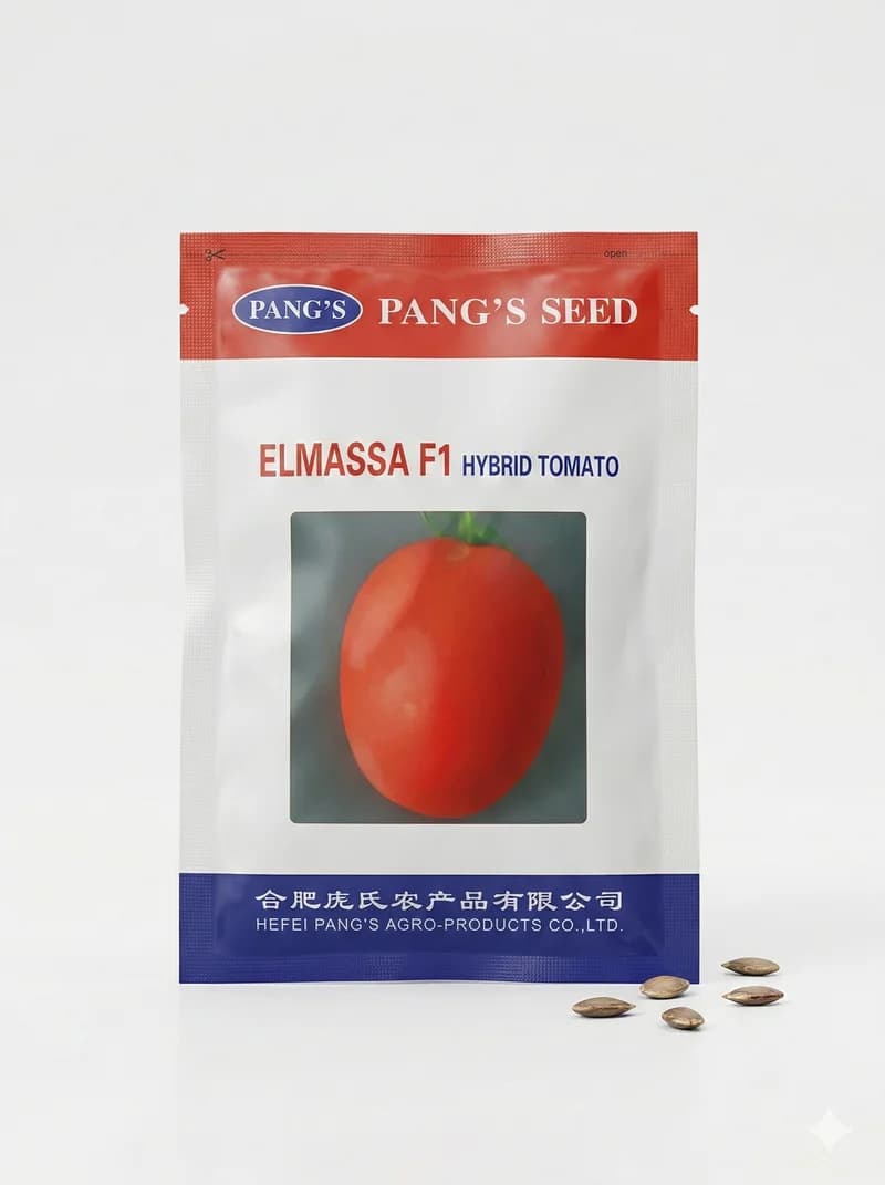 El Massa F1 - Tomate Hybride