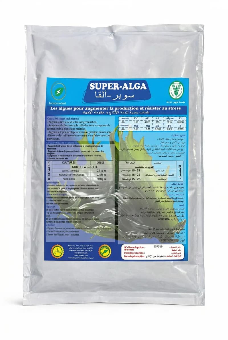 Super-Alga